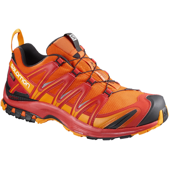 Zapatillas Trail Running Salomon Hombre Naranjas - Salomon Argentina XA PRO 3D GTX® ,986412-YPT